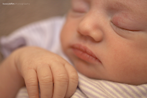 Newborn Portrait, Kasey Loftin Photography