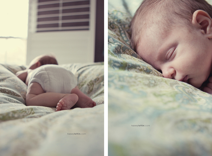 Charlotte Newborn Photographer, Kasey Loftin Photography